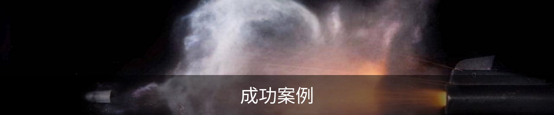成功案例